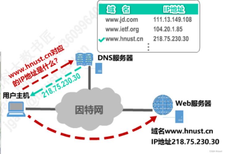 移动网络DNS（Domain Name System）是互联网基础设施中至关重要的组成部分，它负责将人类可读的域名转换为机器可识别的IP地址。以下是对移动网络DNS的详细介绍