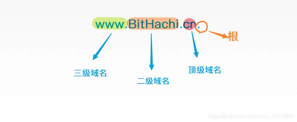 cn域名查询详解