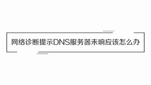 DNS诊断