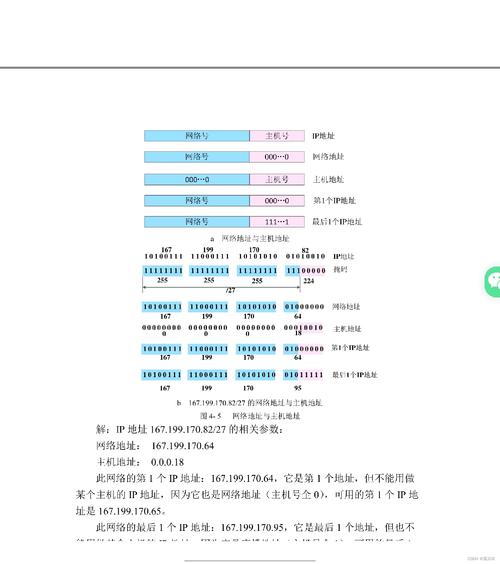 DNS诊断