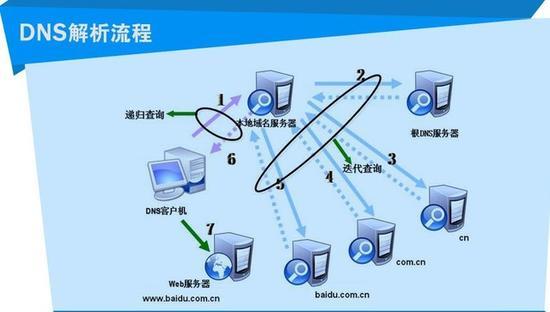 DNS 端口号