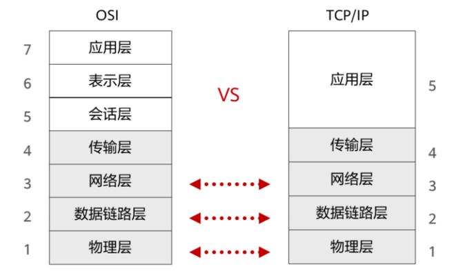 TCP与DNS的详细介绍