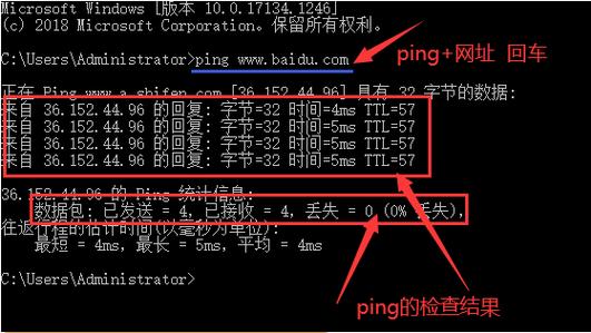 使用 ping 命令测试软件的网络连接情况