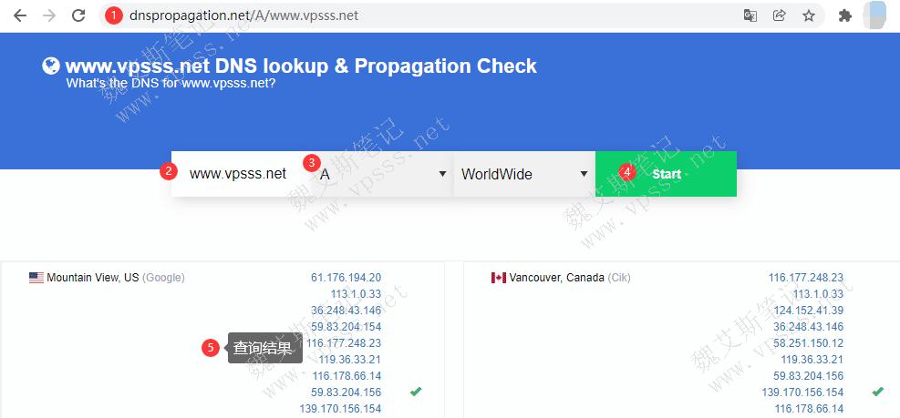 一、IP DNS查询