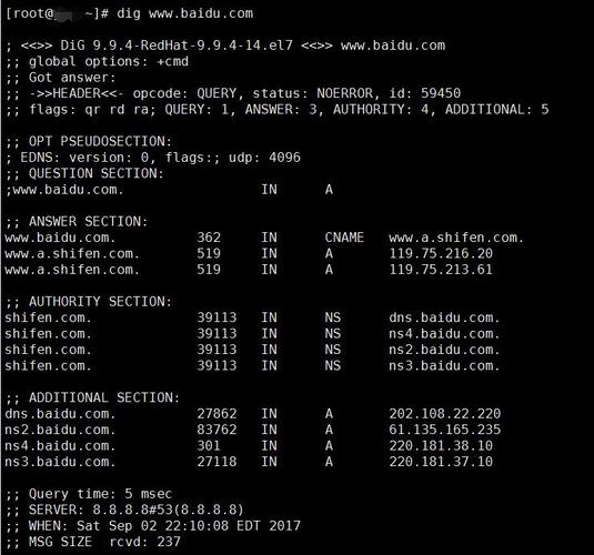 一、IP DNS查询