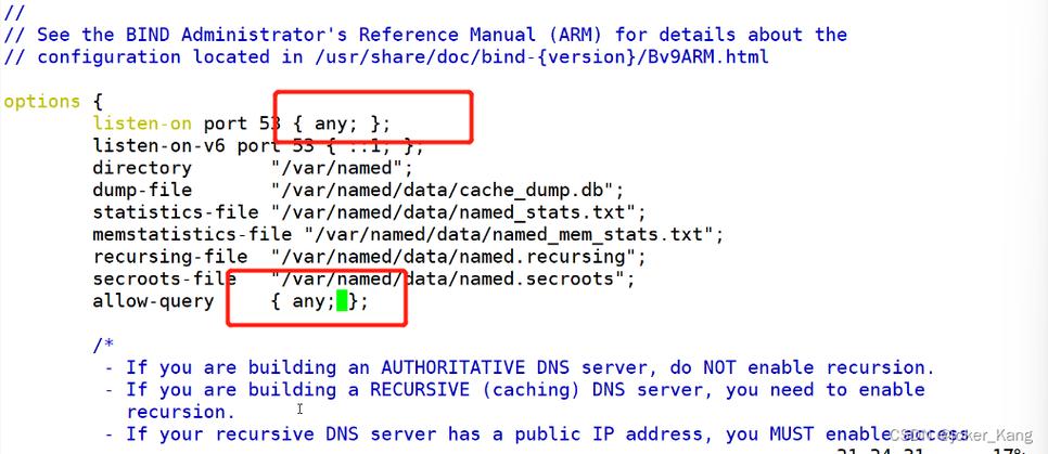 DNS（域名系统）是互联网的基础设施之一，它将易于记忆的域名转换为机器可识别的IP地址。以下是关于IP查询DNS的详细内容