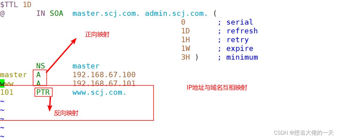 DNS（Domain Name System，域名系统）是互联网上的一项核心服务，它将用户友好的域名转换为计算机可以识别的IP地址。在Windows 10操作系统中，用户可以根据自己的需求更改DNS服务器地址，以优化网络连接速度、增强隐私保护或绕过地理限制。以下是详细的操作步骤和相关注意事项