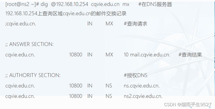 DNS服务器（Domain Name System Server）是互联网中至关重要的基础设施之一，负责将人类可读的网站域名转换为机器可识别的IP地址。以下是对DNS服务器的详细介绍