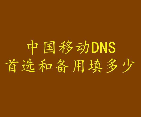 中国移动的DNS地址是互联网服务中的重要组成部分，它负责将用户输入的网址转换为计算机能够识别的IP地址，从而使得用户能够访问到相应的网站。以下是对中国移动DNS地址的详细介绍