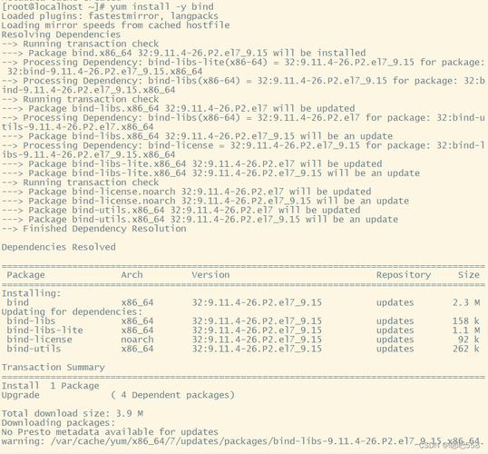 Linux 安装 DNS，详细步骤与配置指南