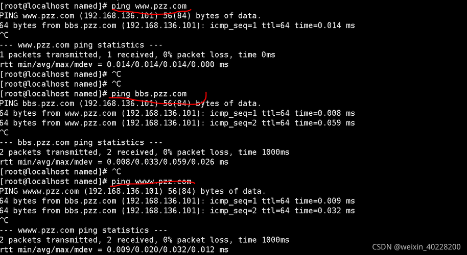 Linux 安装 DNS，详细步骤与配置指南