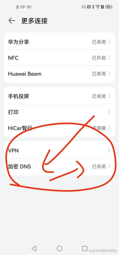 华为加密DNS