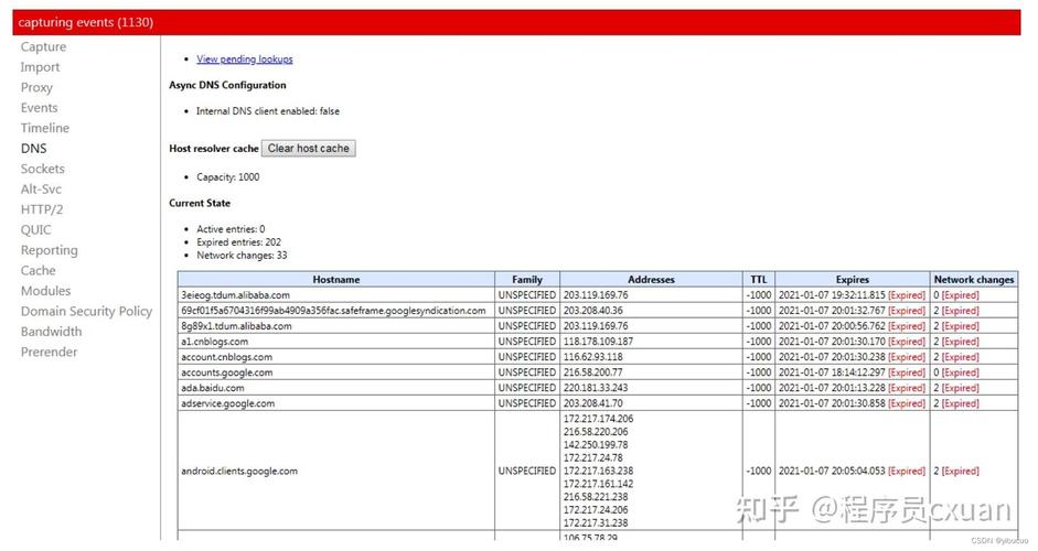 Chrome DNS 配置详细指南