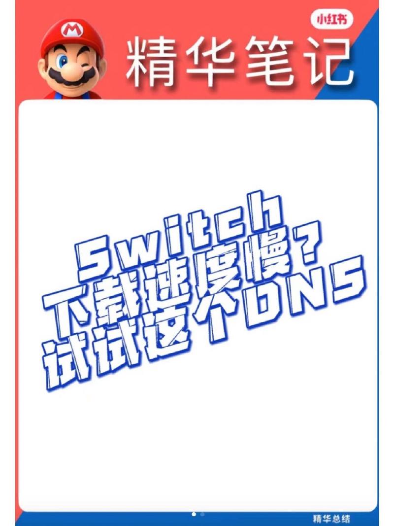 Switch联机DNS