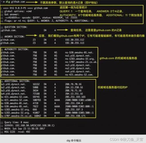 刷DNS，详细操作与常见问题解答