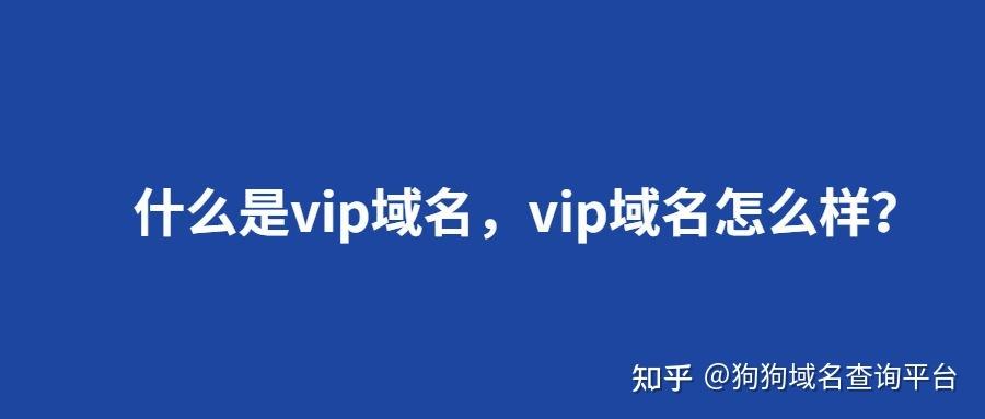 vip域名查询