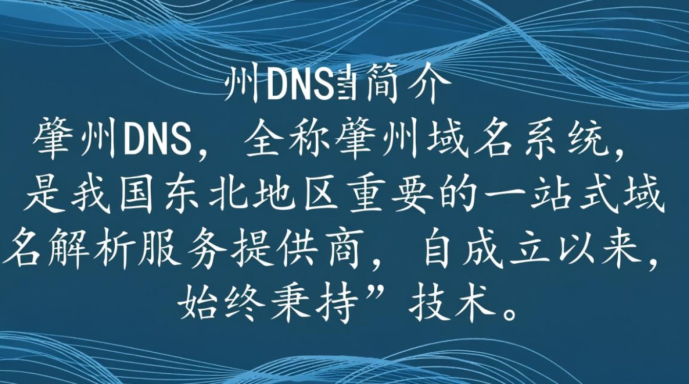 肇州dns揭秘，肇州地区的DNS服务有哪些特点与优势？