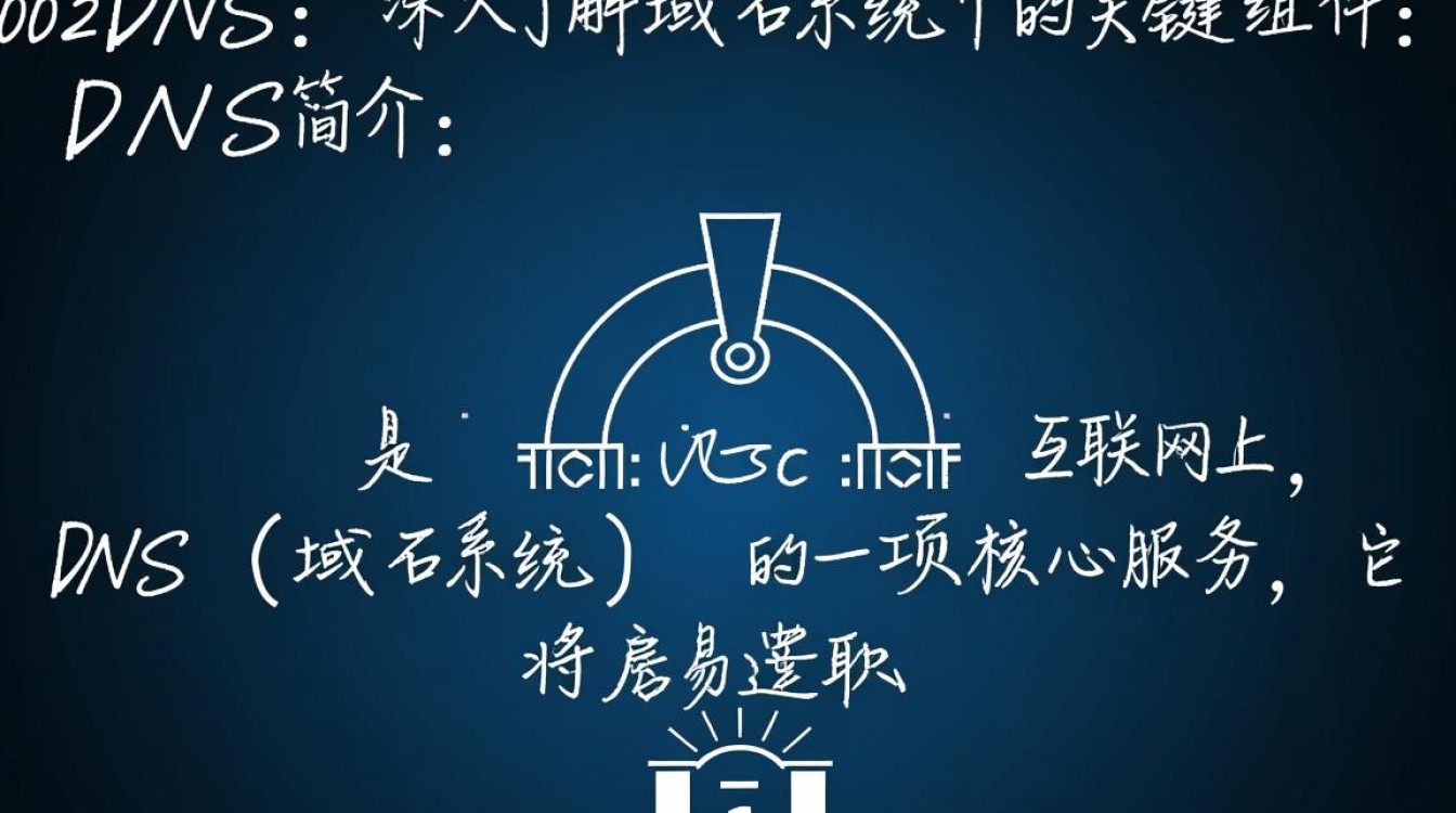 dns1002dns这一代码究竟指代什么？其背后有何含义？