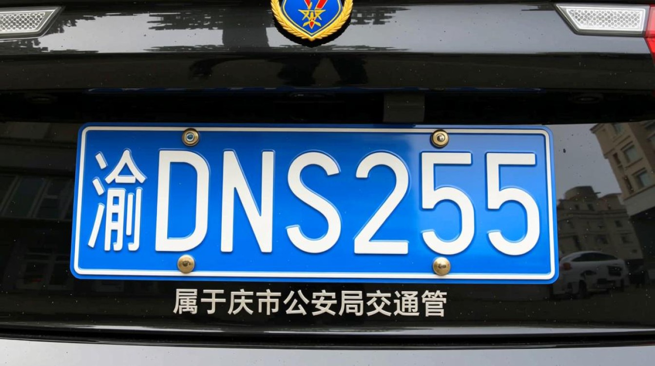 渝DNS255车牌有何特别之处？背后故事及使用方法详解！